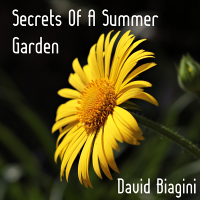 Secrets Garden Cover Art